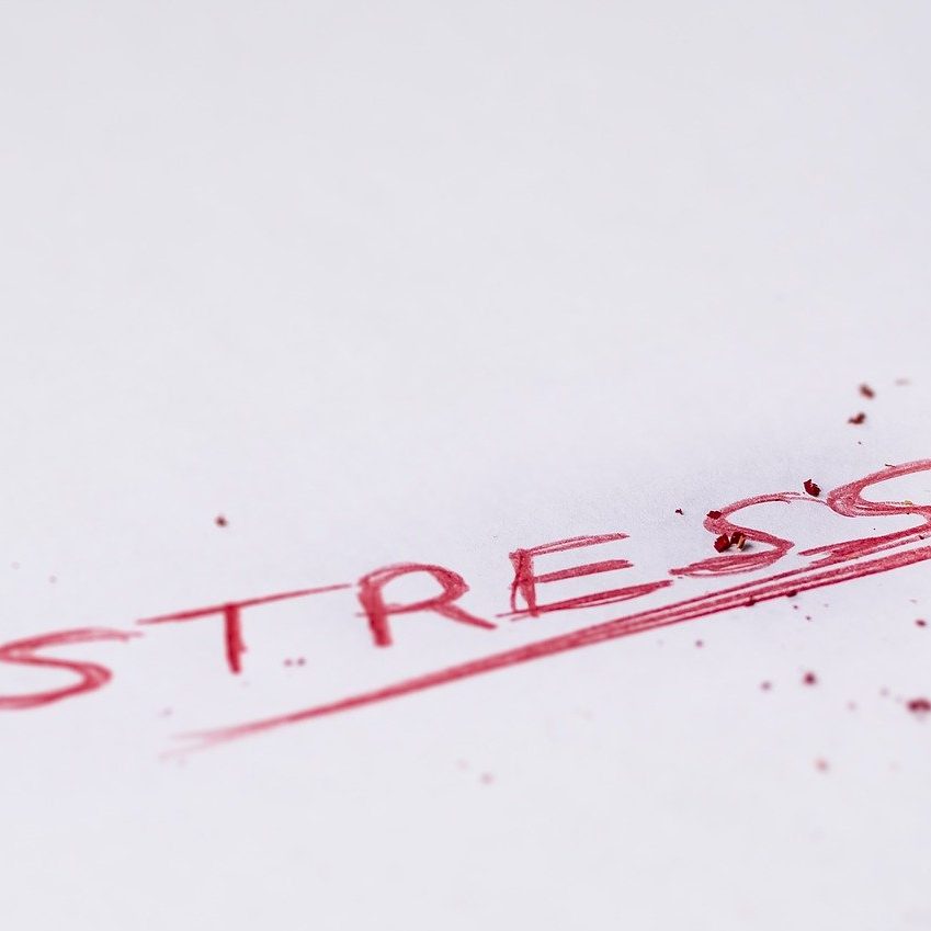 ストレスフリー