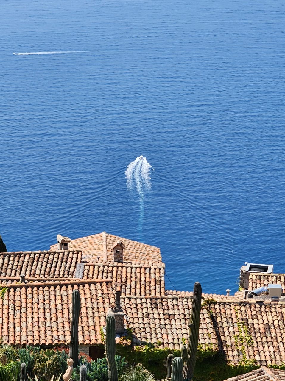 TAYUTAU hero placeholder