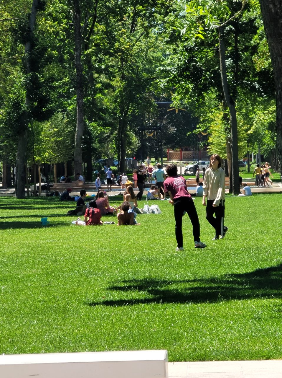 placeholder: community