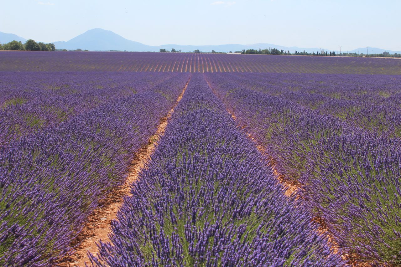 World and Journey image